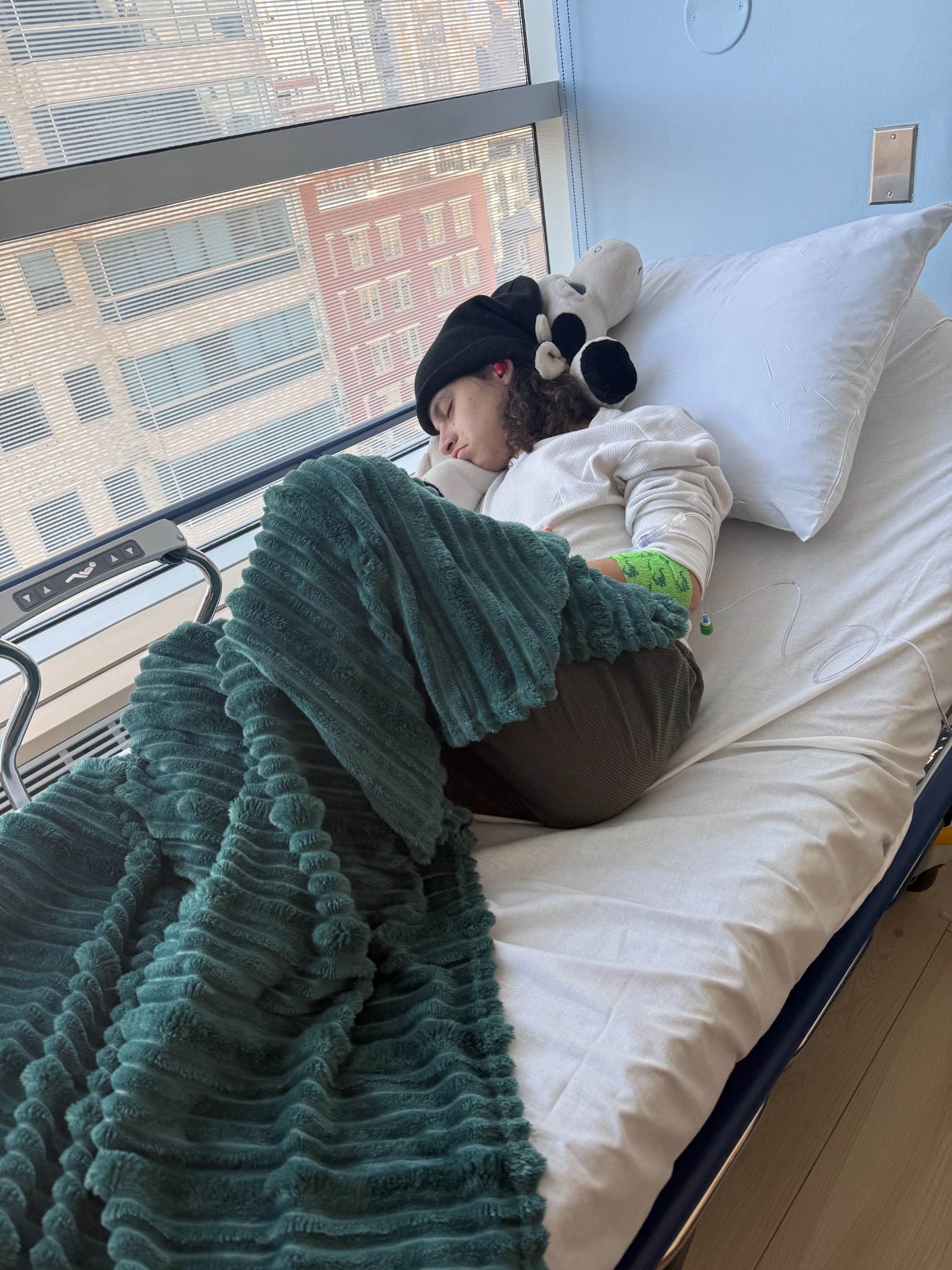 Chase resting during treatment